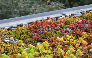 the cost of Alconbury Weston green roof installation